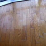 Canadian-red-oak-flooring-sandandseal-co-uk