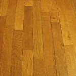 LightningVolt_Wood_Floor-wikipedia-org