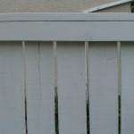 freshly-painted-wood-fence