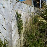 wooden-fence-garden