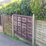 wooden-fence-hedge