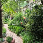 courtyard-garden