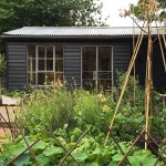 garden-shed-designed-and-built-by-andrew