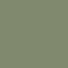 Craig and Rose 1829 Chalky Emulsion Paint - Deep Adam Green