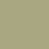 Craig and Rose 1829 Chalky Emulsion Paint - Tapestry Green