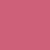 Protek Royal Exterior Paint - Fuchsia Pink